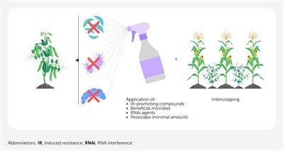 Induced resistance: making the most of plants’ innate immune response